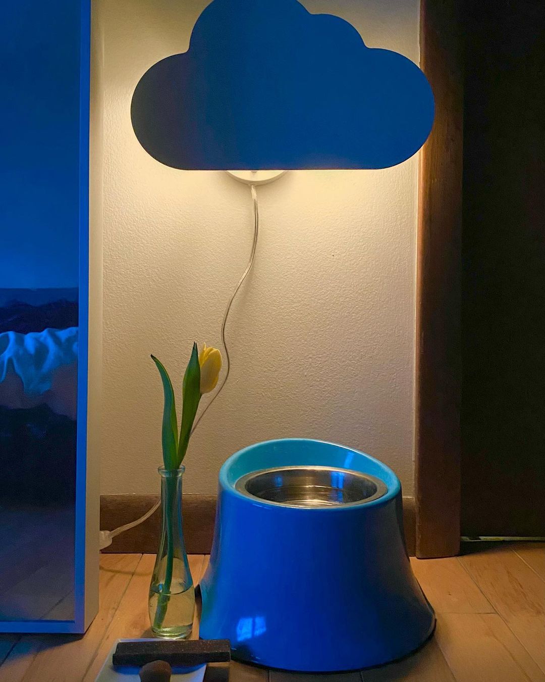 寝室にあるお水のボール。シニアになってからは、ぬるま湯を好んで飲んだ。