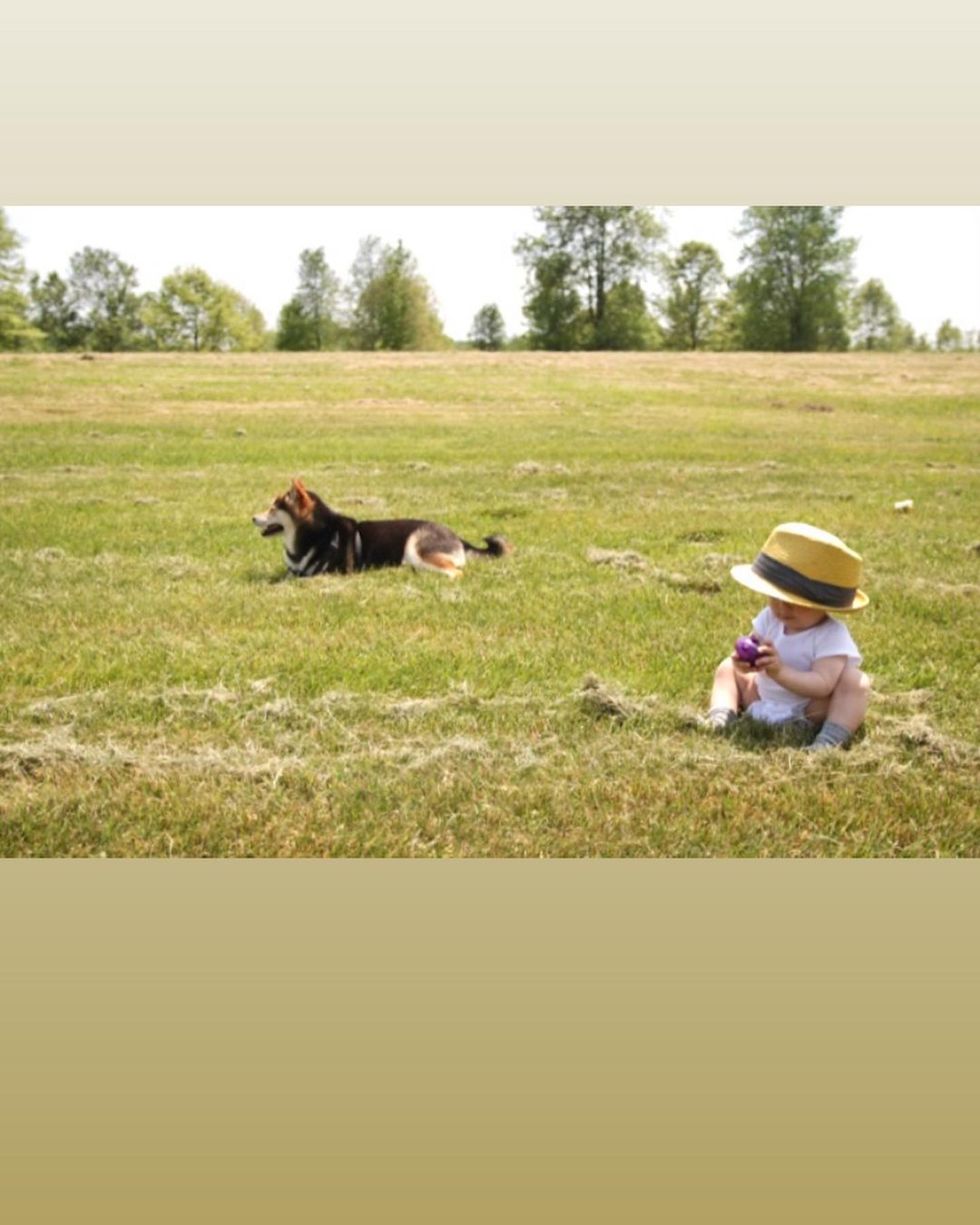 2012年撮影、一茶1歳、Maru3歳