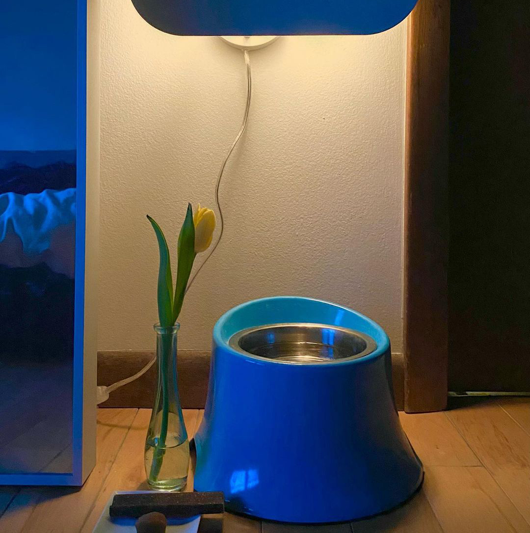 寝室にあるお水のボール。シニアになってからは、ぬるま湯を好んで飲んだ。